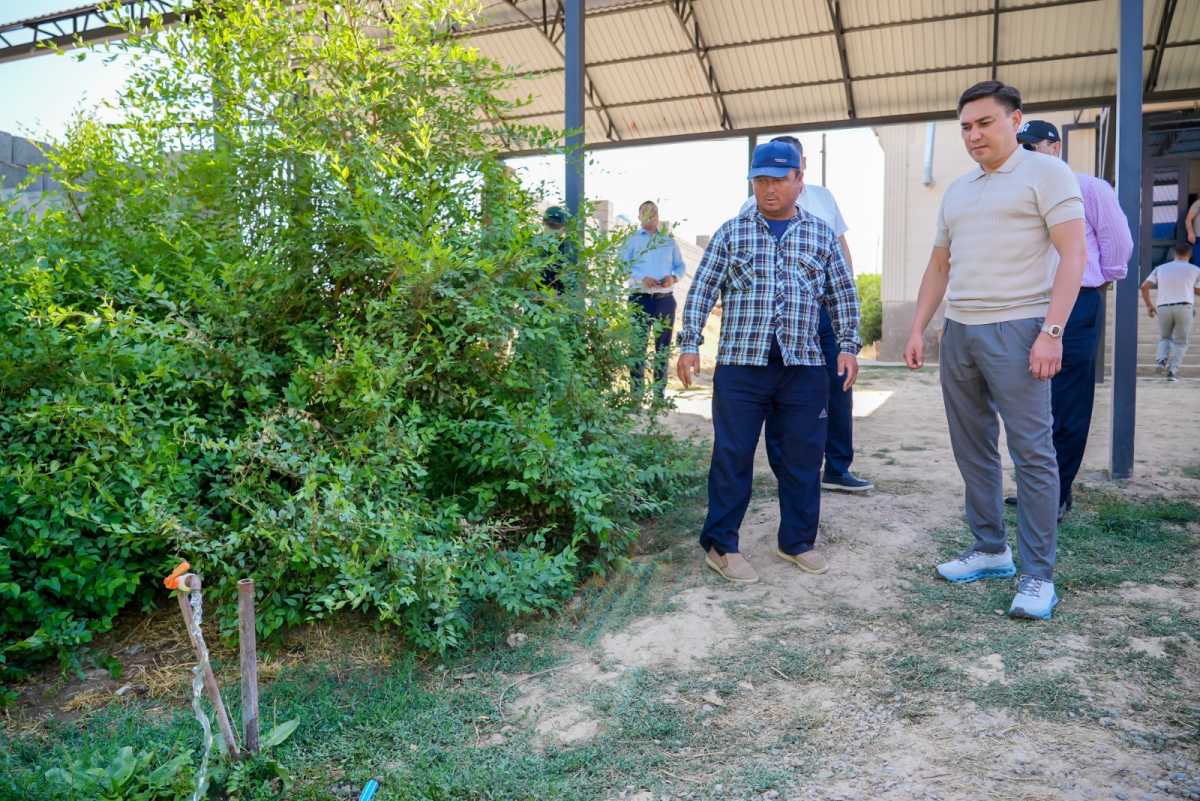 В Шымкенте в жилом массиве «Текесу» запустили систему водоснабжения