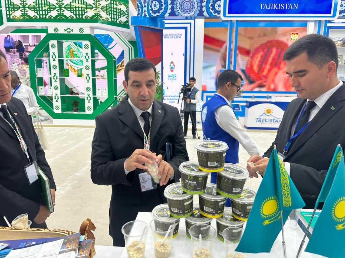 Казахстан на Конференции ООН: экспортный потенциал страны без выхода к морю