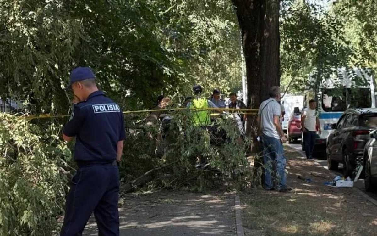 Упавшая ветка убила женщину в Алматы