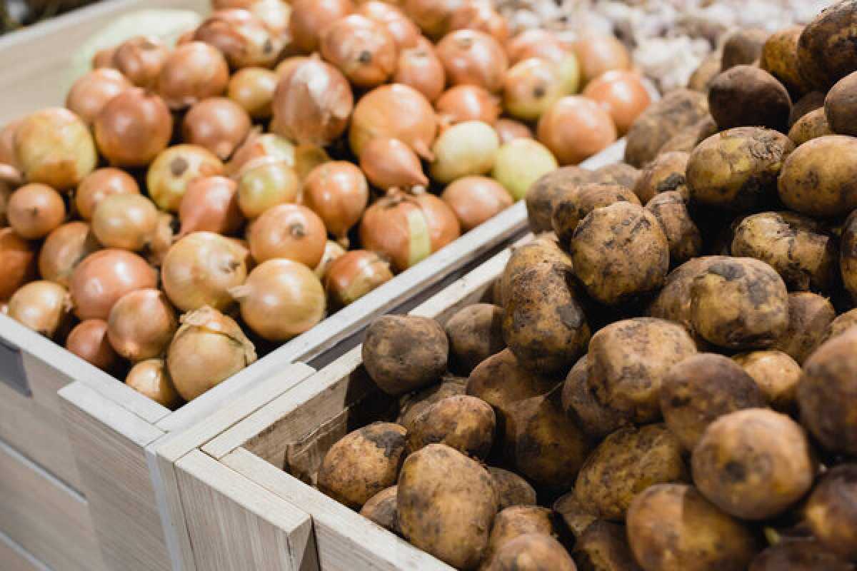 В Абайской области завышали цены на социально значимые продукты