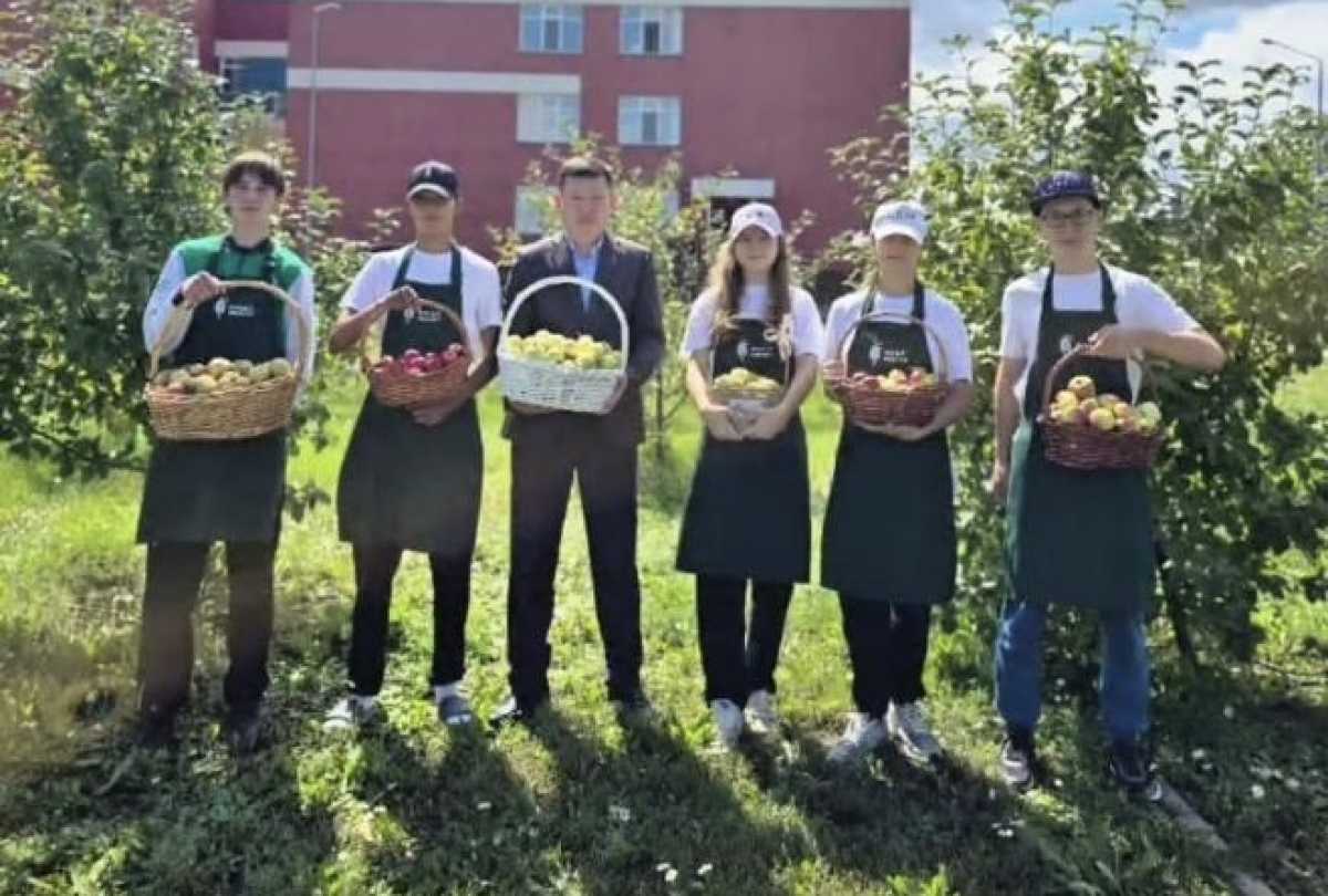 Более 60 кг урожая собрали в школьном яблоневом саду Астаны