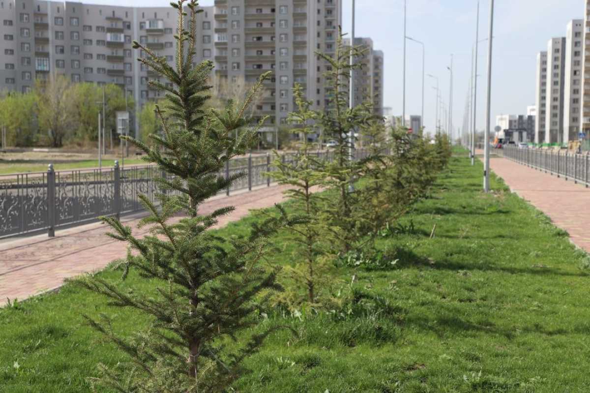 В области Жетісу за 3 года создали 18 зеленых зон в виде парков, скверов и аллей