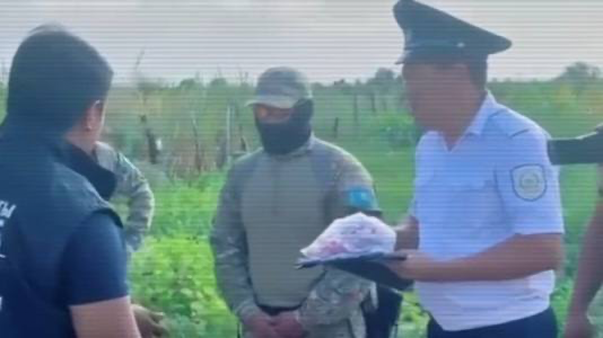 Каналы незаконного оборота наркотиков пресекли в регионах Казахстана