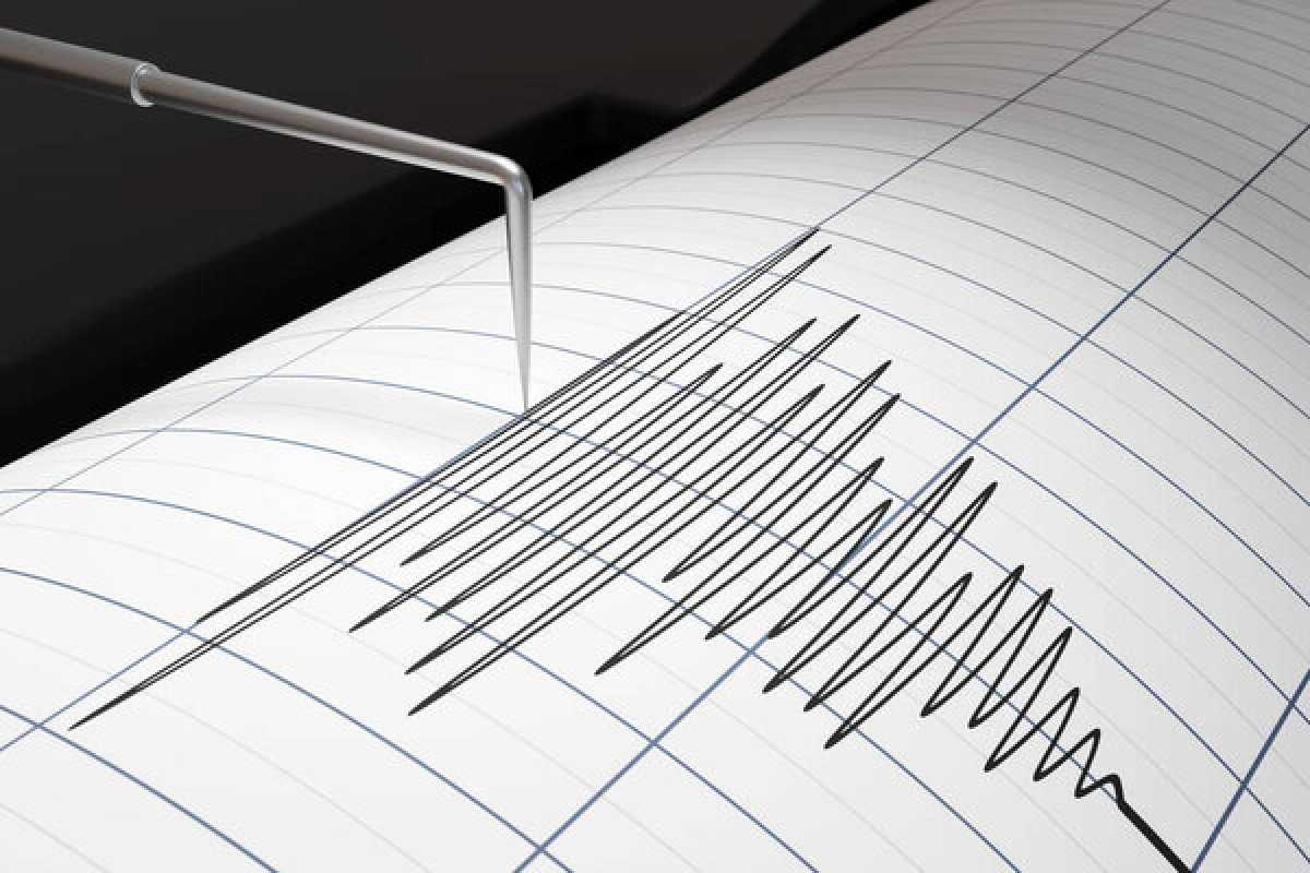 Землетрясение зафиксировали в ВКО