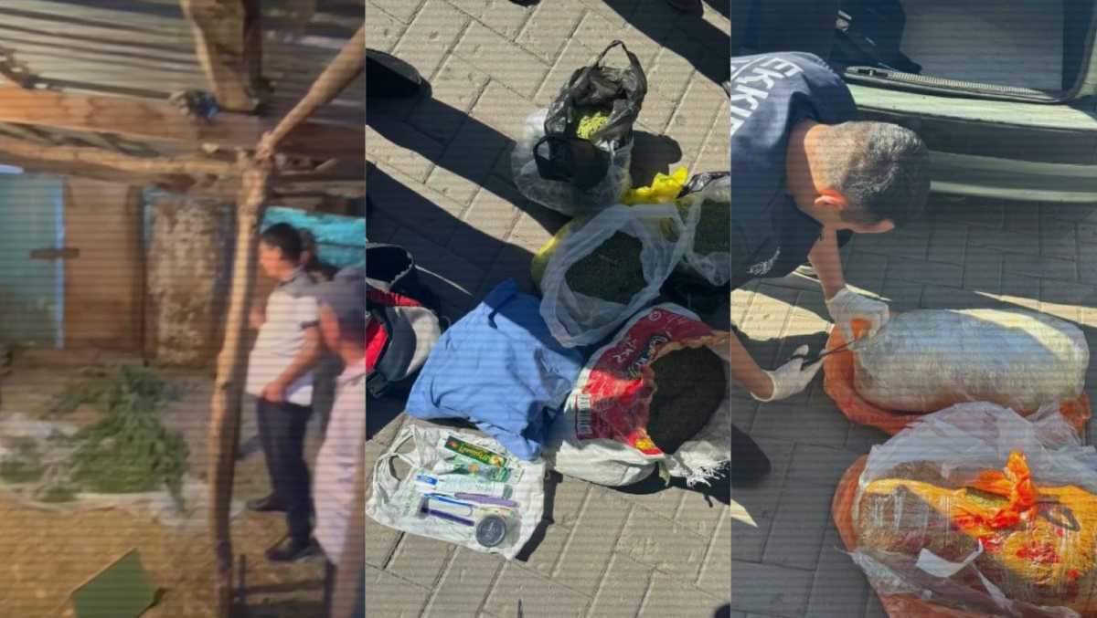 Более 11 тонн наркотиков изъяли в Казахстане
