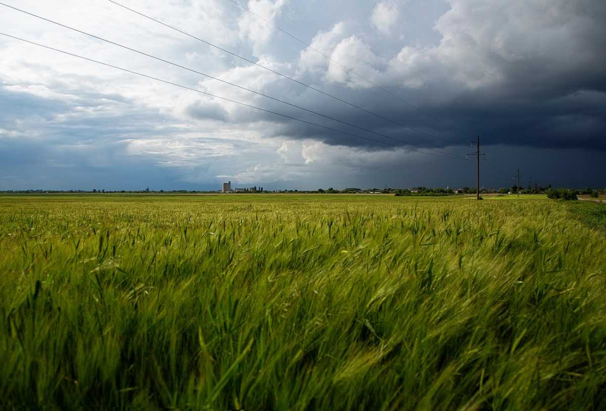 Осень приближается: в Казахстане ожидается резкое похолодание