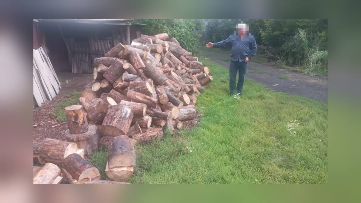 Увёз домой на тракторе пять кубов леса: полиция раскрыла факт незаконной заготовки древесины в Акмолинской области