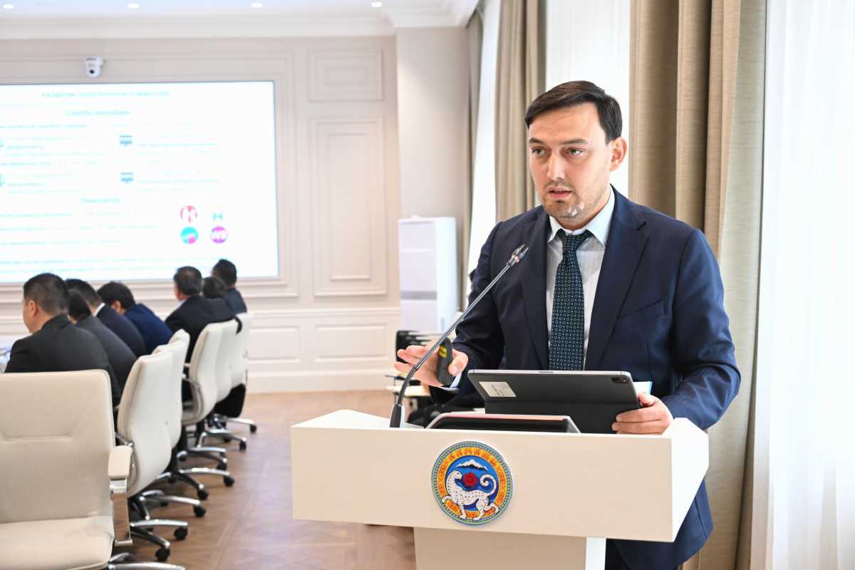 Алматы — столица онлайн-торговли: город обеспечивает более 90% e-commerce Казахстана
