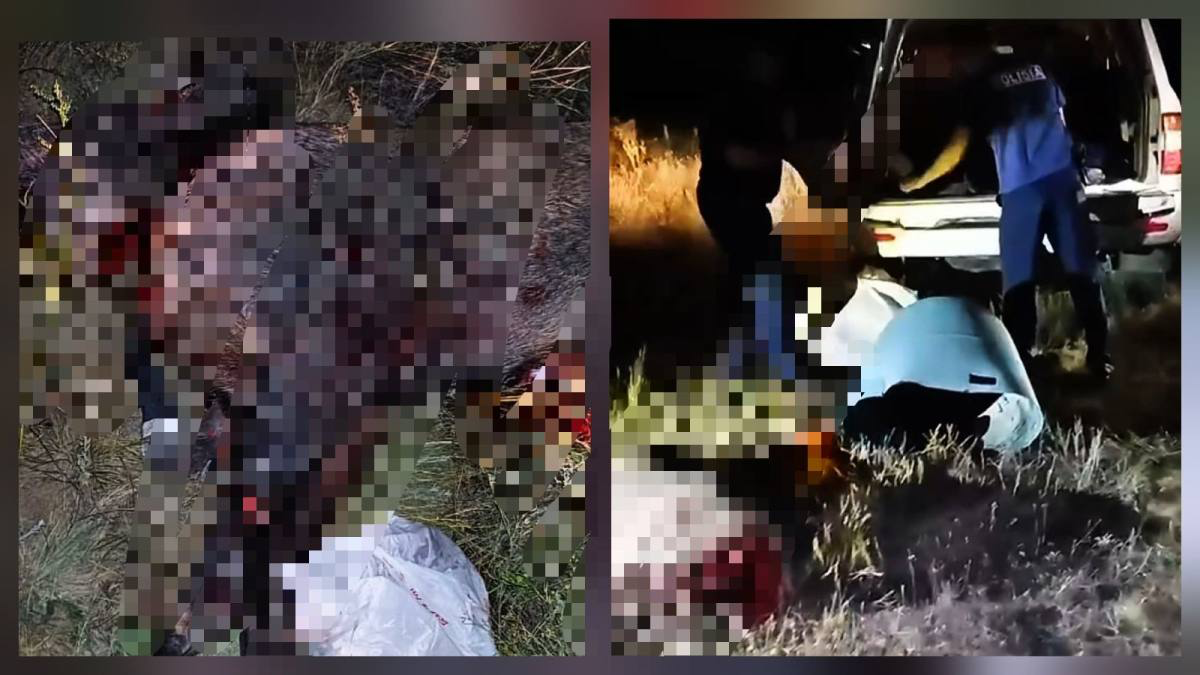 Браконьера с тушами кабанов задержали в ЗКО