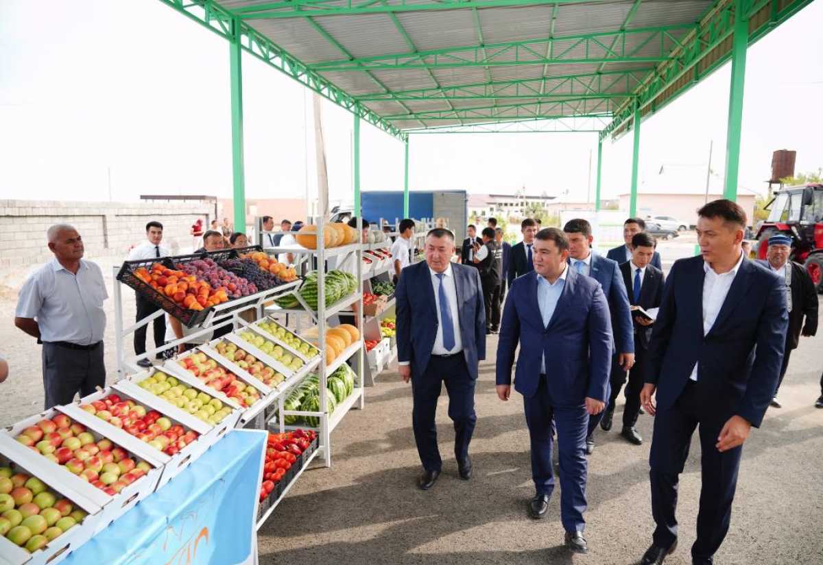 В Туркестанской области стартовал социальный проект: жители могут продавать свой урожай
