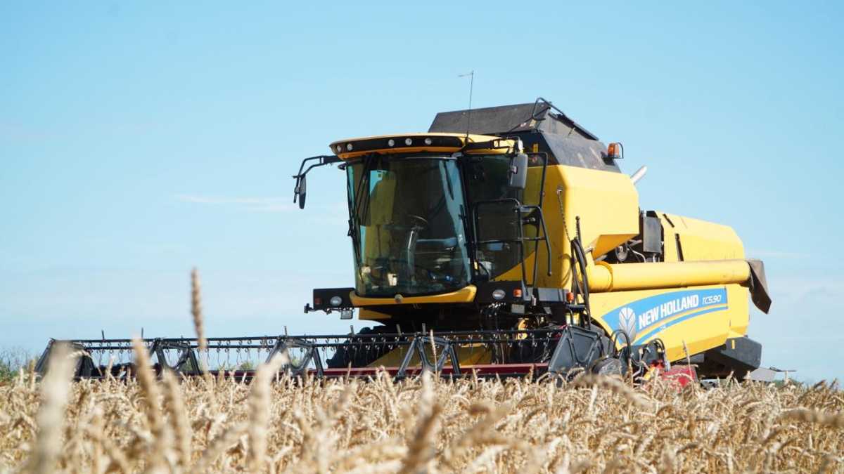 Акмолинцы убрали 20% от посевных площадей