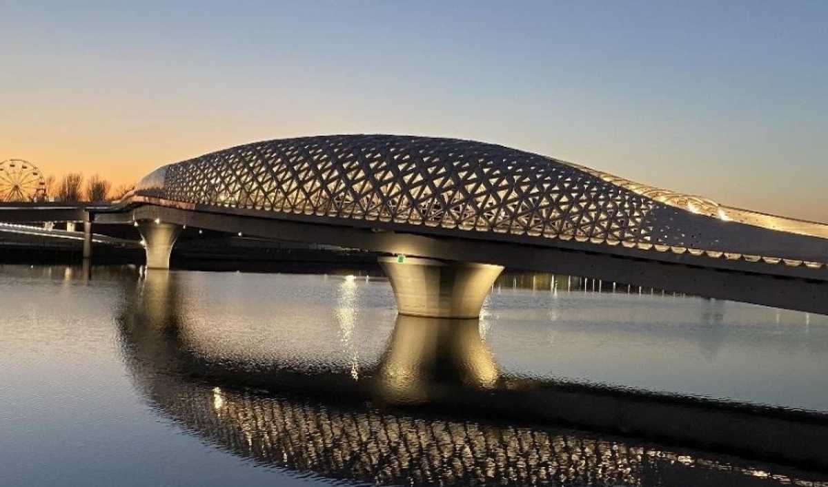 В Астане наказали водителя, заехавшего на Атырауский мост