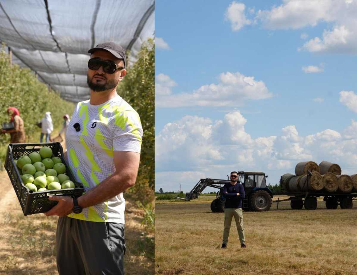 Проект по созданию интенсивного яблоневого сада реализуется в Туркестанской области
