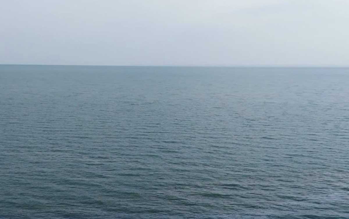 Увеличение объёма Северного Арала идёт с опережением сроков – Минводы РК