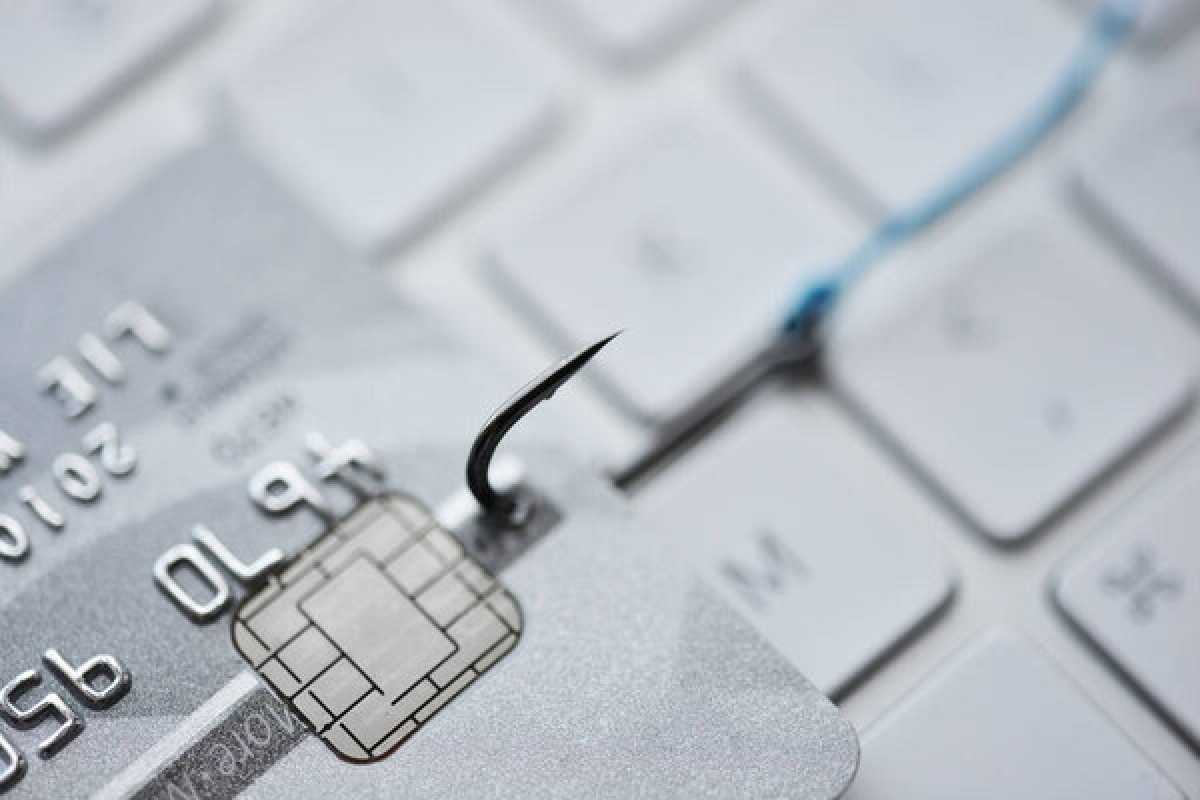 Ущерб превысил 70 млн тг: ОПГ интернет-аферистов обманула более 40 казахстанцев