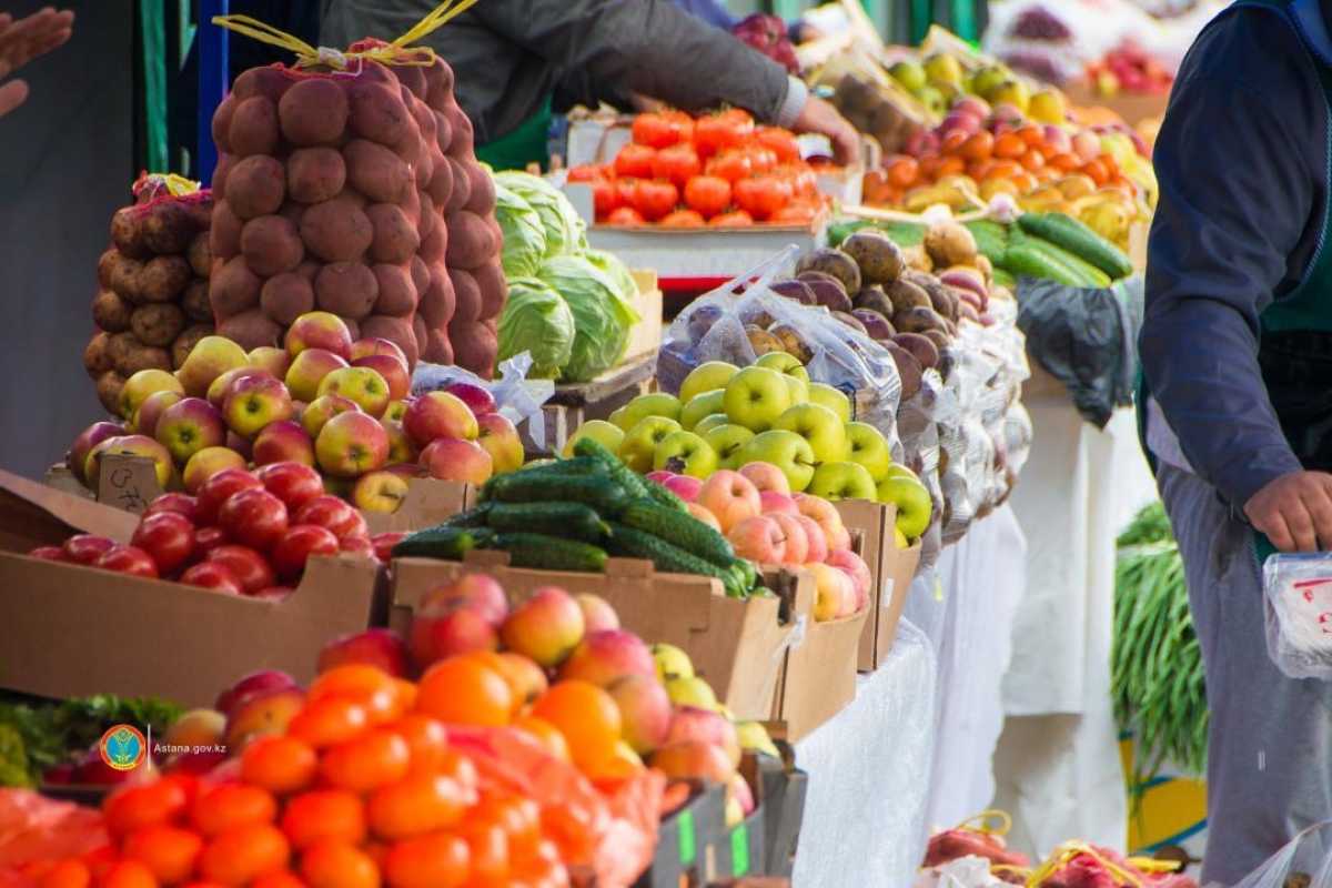 Более 650 тонн продукции представят аграрии Кызылординской и Актюбинской областей на ярмарке в Астане