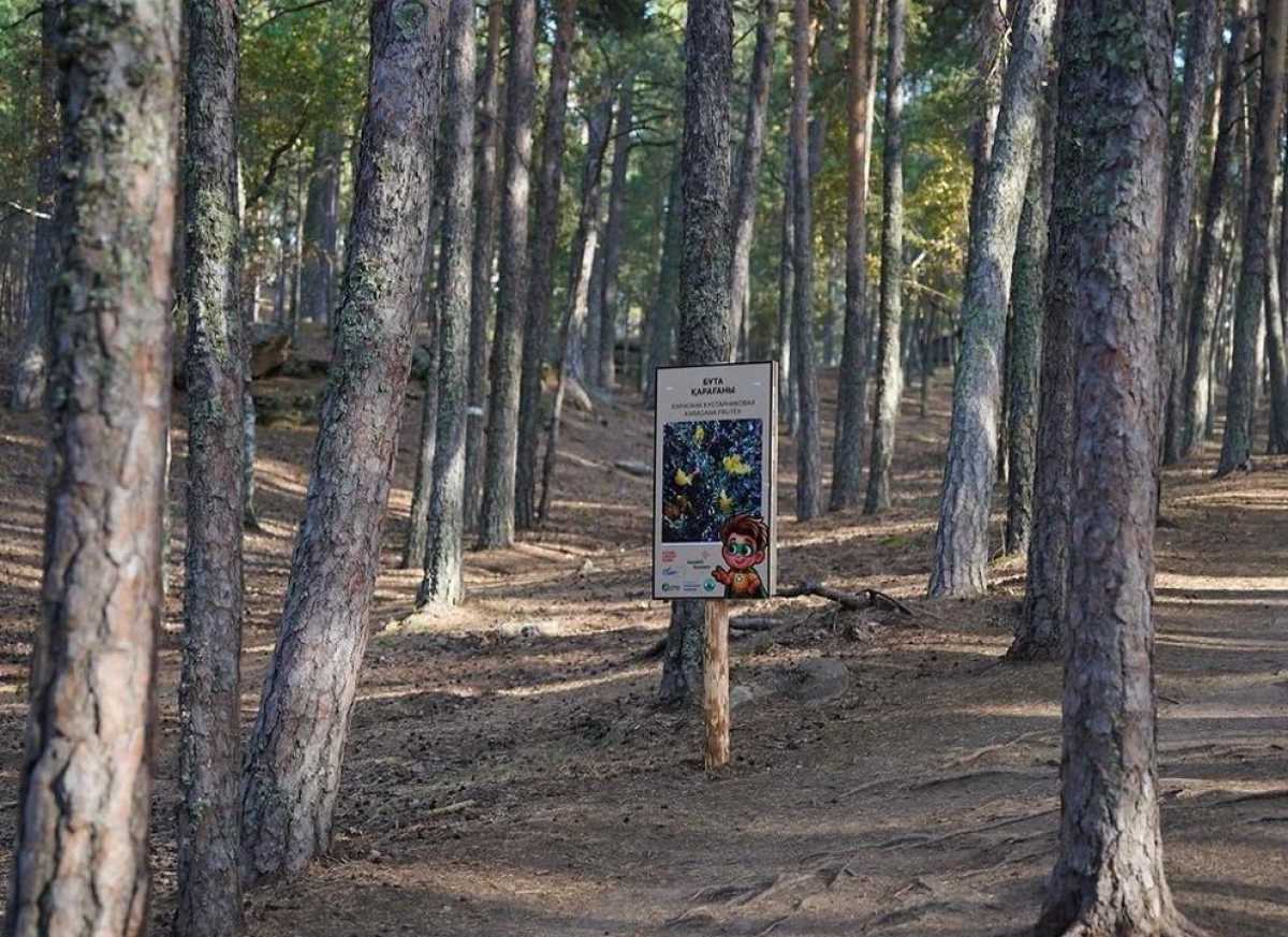 В Бурабае построена экотропа «БӨЛЕКТАУ»