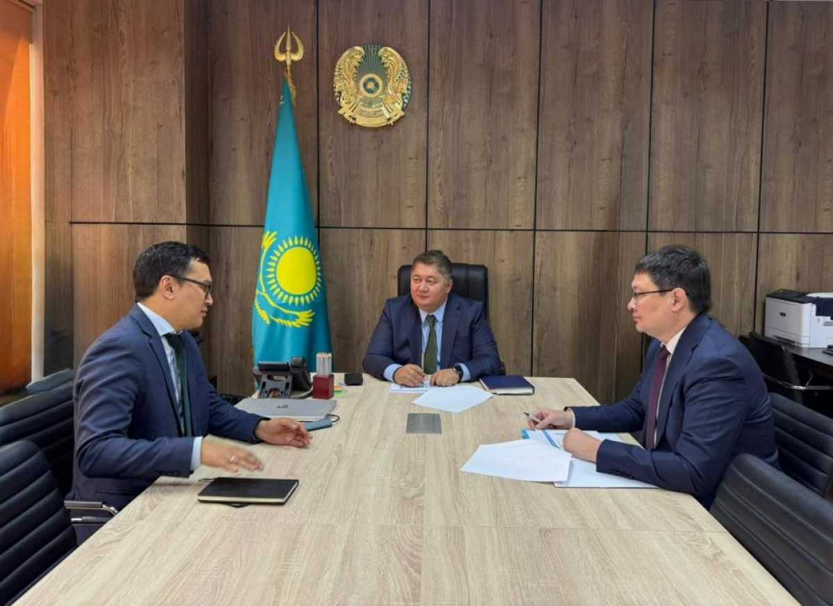 В Казахстане приостановлена эксплуатация семи частных воздушных судов: итоги внеплановых проверок