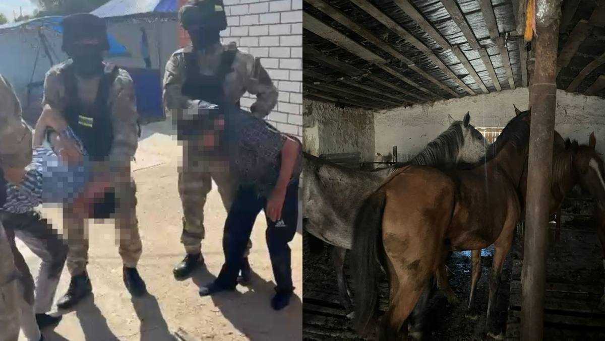 Полицейские задержали скотокрадов на месте преступления в ЗКО