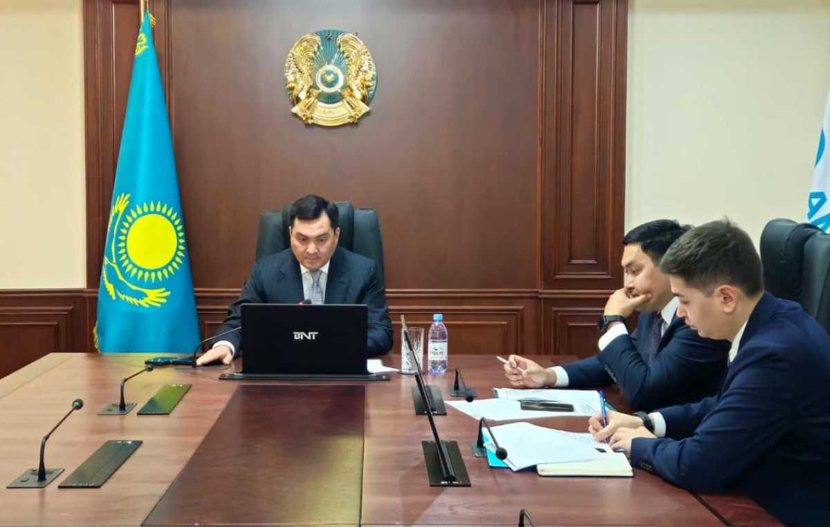 Казахстан предложил Японии совместные проекты по созданию «зелёного» энергомоста между Азией и Европой