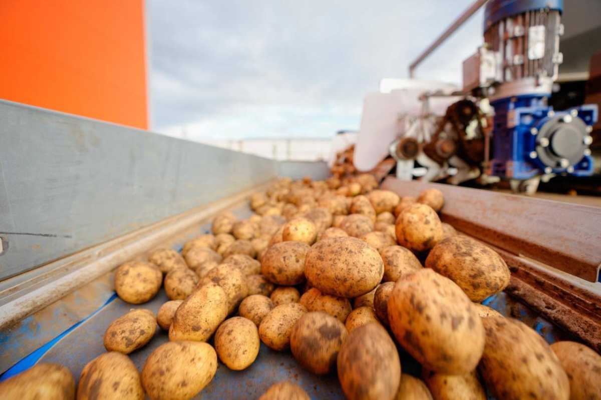 Какая работа по стабилизации цен на продукты ведётся в Астане