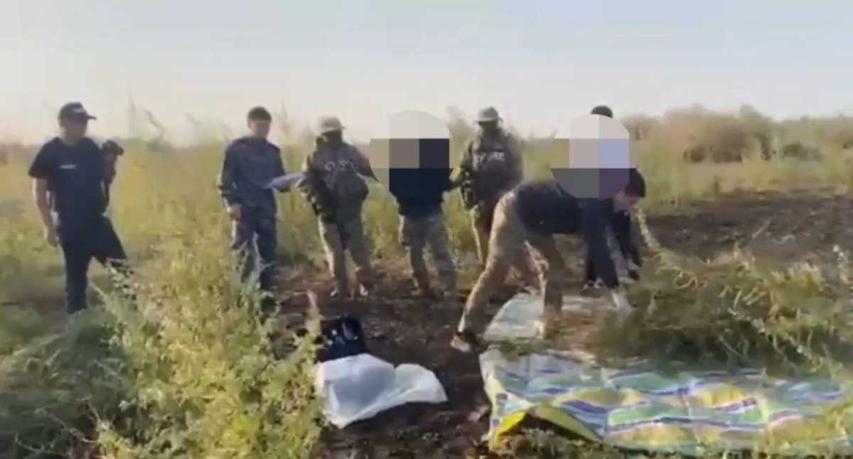 Более 100 кг марихуаны изъяли в Жамбылкой области