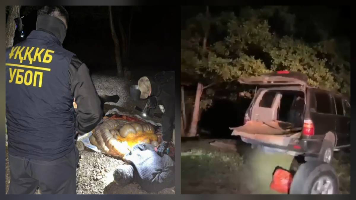 Не успели сбыть мясо: скотокрадов задержали в Актюбинской области