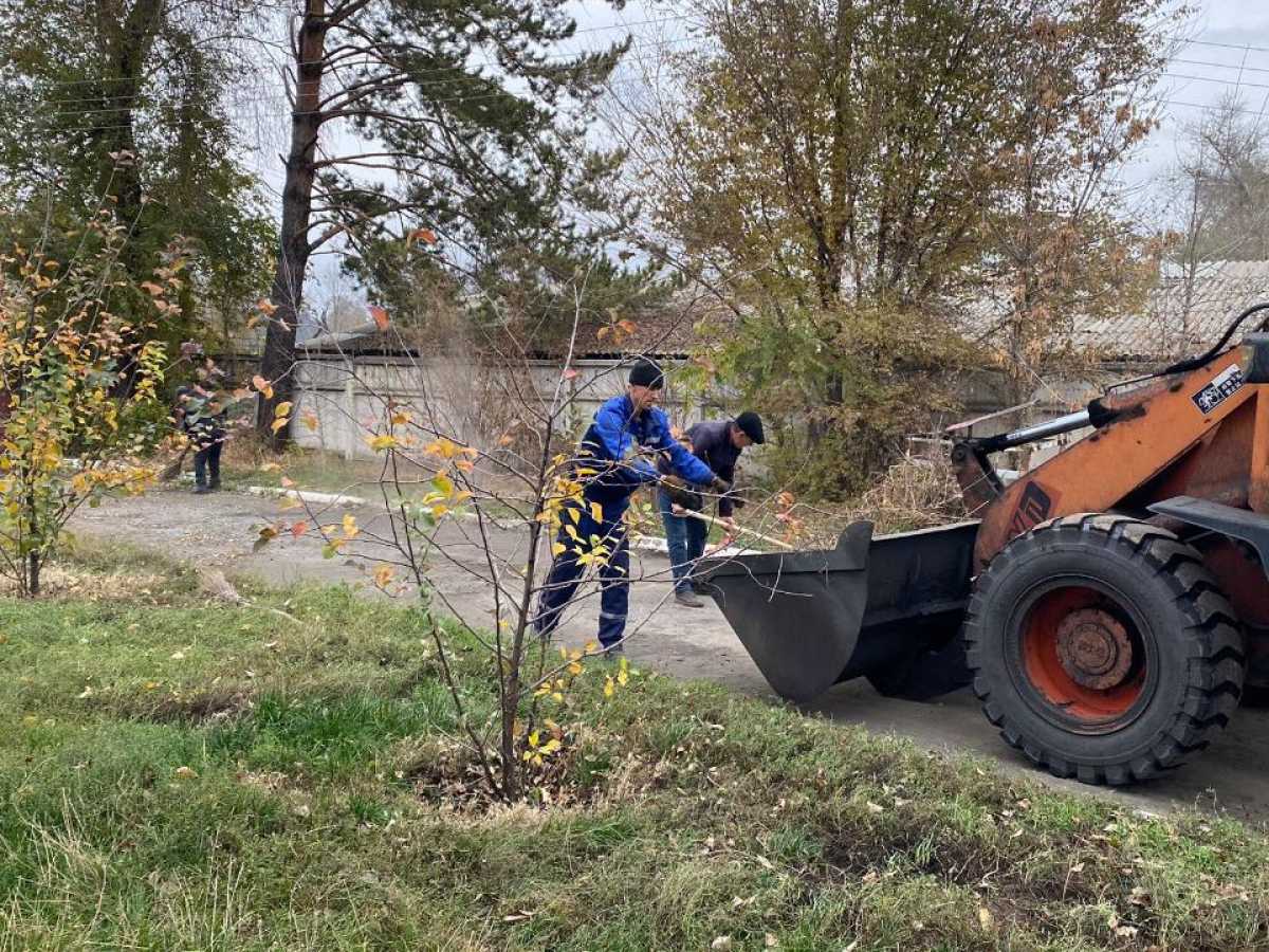«Таза Қазақстан»: более 6 тысяч жителей в Жетісу приняли участие в экоакции «Таза бейсенбі»