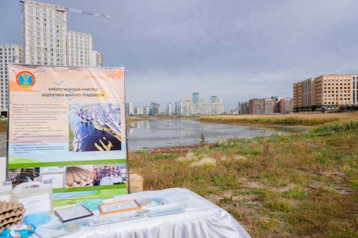 Биологическую очистку озера Малый Талдыколь провели в Астане