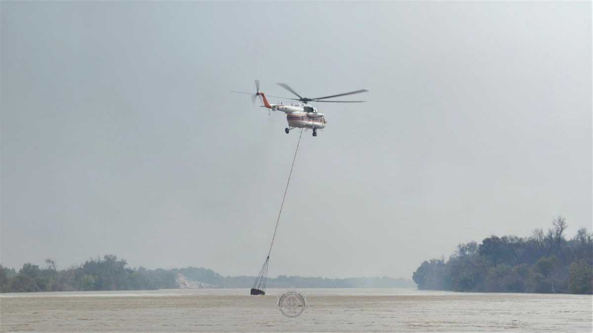 Природный пожар потушили в Жетысуской области