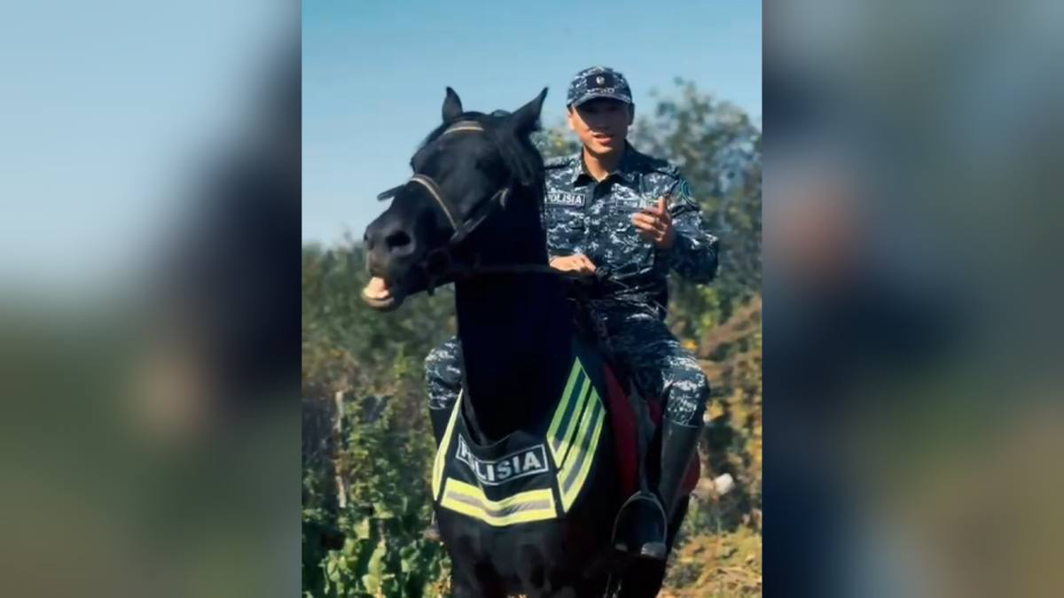 В Павлодарской области конная полиция патрулирует дачные массивы