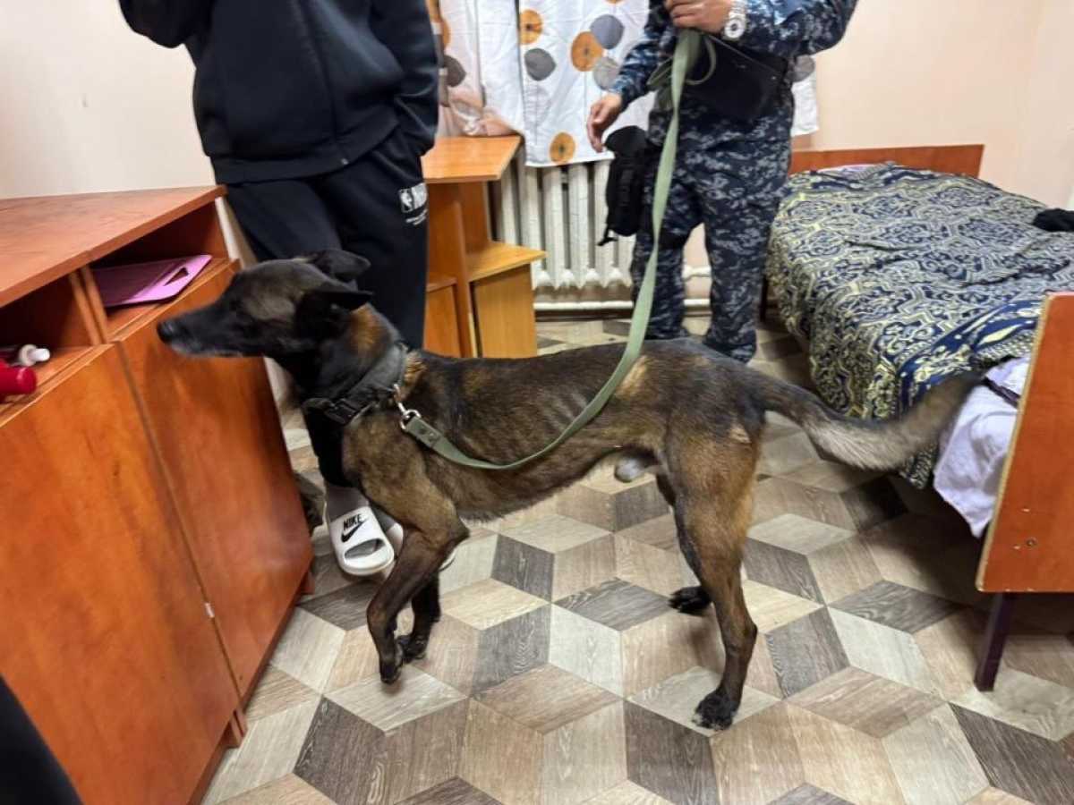 Антинаркотический месячник: полицейские провели рейд в студенческих общежитиях Астаны