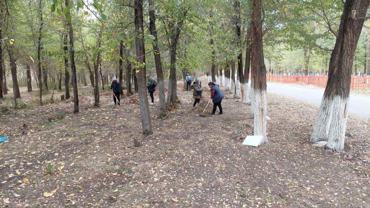 «Таза бейсенбі»: в Жетісу вывезено 500 тонн мусора, высажено 300 деревьев