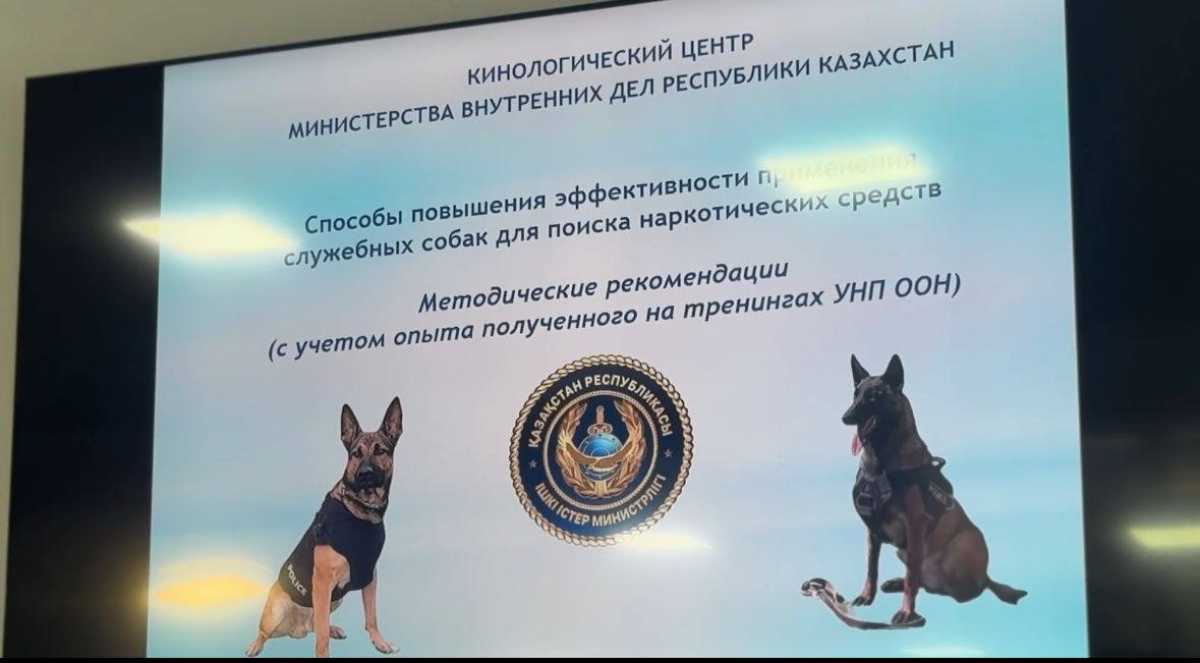 Когда напарник — четвероногий: полиция в области Жетысу перенимает опыт