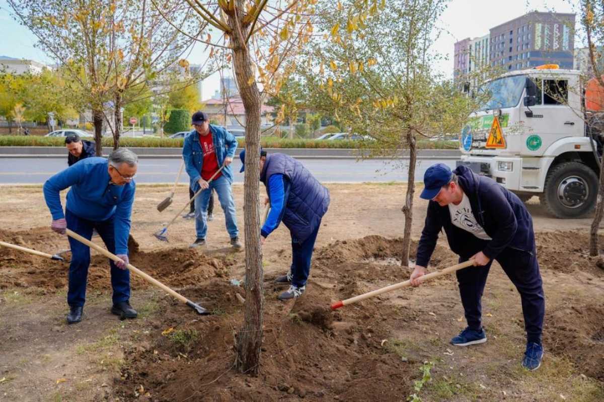 «Таза Қазақстан»: акцию по посадке деревьев провели в столице в День труда