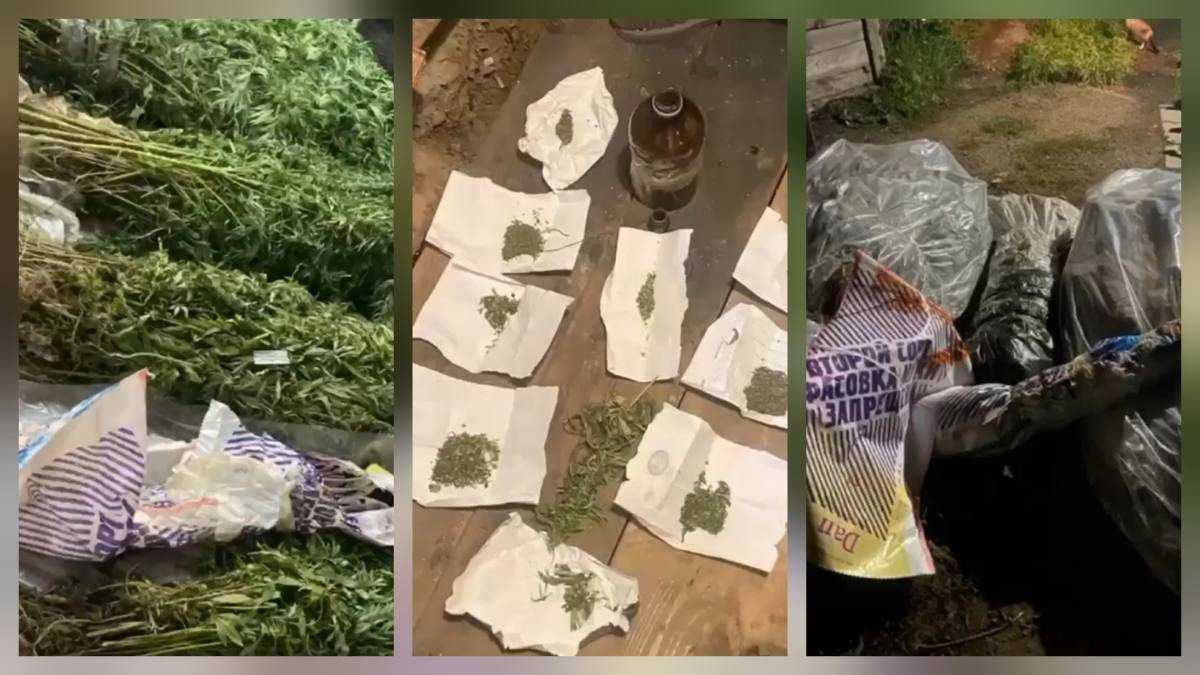 Крупную партию наркотиков изъяли у жителя Акмолинской области