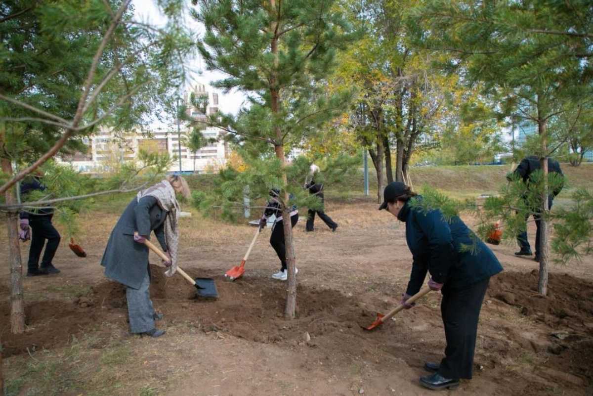 Семейные ценности и забота о природе: десятки сосен высадили в одном из парков Астаны