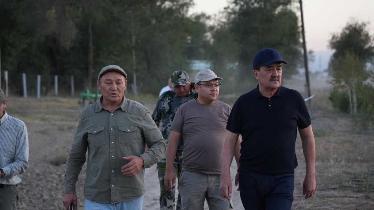 До 900 тысяч сеянцев в год: Министр экологии ознакомился с работой лесного центра «Междуреченск»
