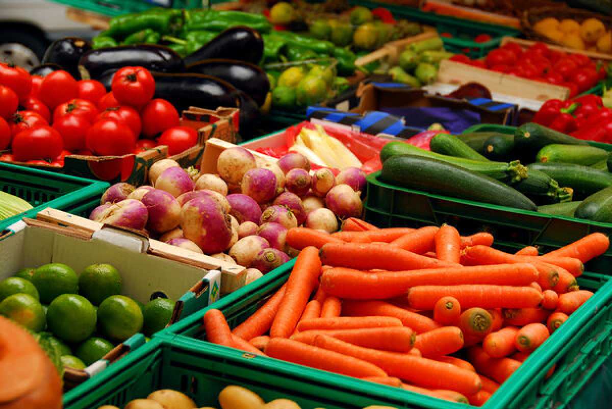 Около 500 тонн продукции представят на ярмарке в Астане аграрии двух областей