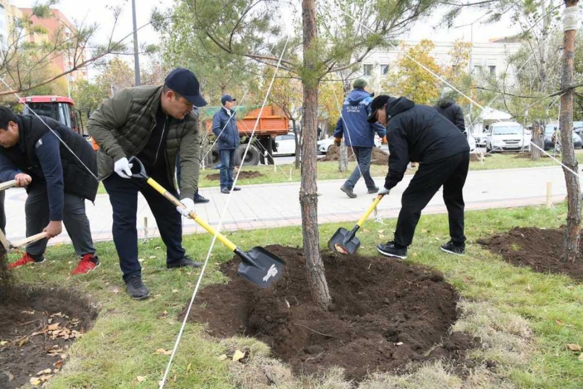 «Таза Қазақстан»: 250 деревьев высадили в одном из скверов Астаны