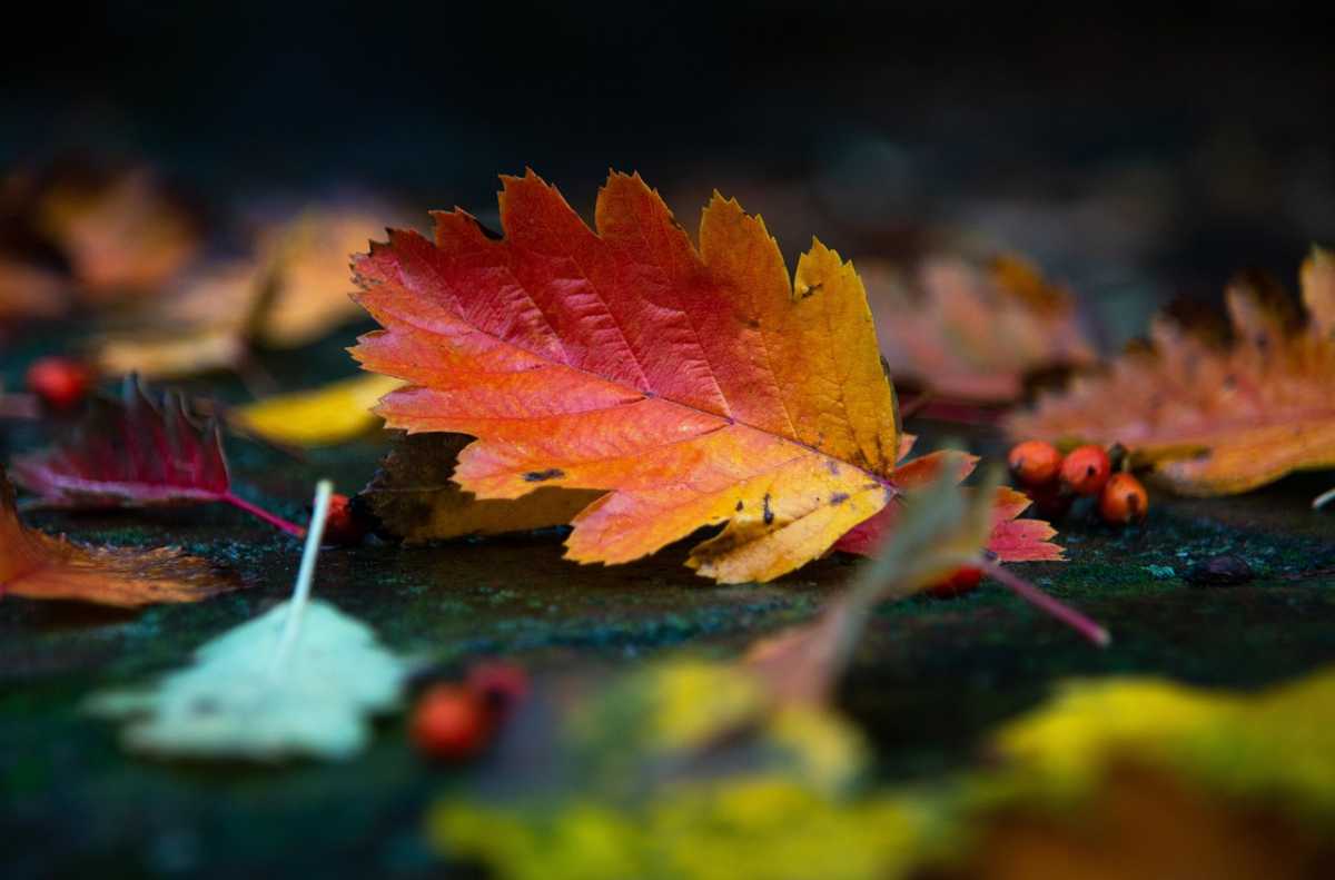 В Казахстане сохранится тёплая и сухая погода, но к концу недели ожидаются дожди и снег