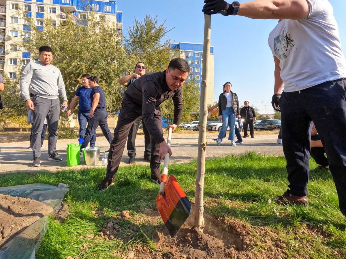 Аким Шымкента принял участие в озеленении микрорайона «Астана»