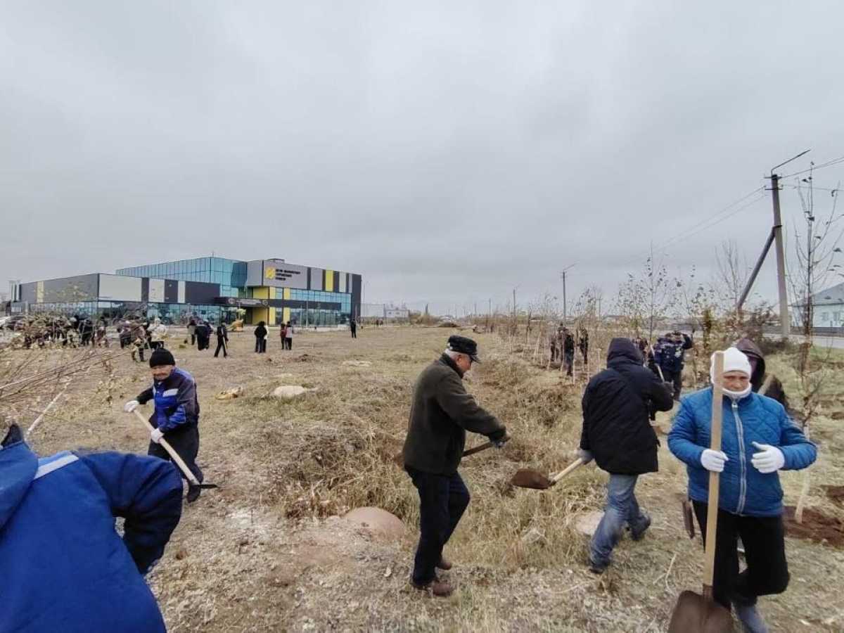 В Астане около 1000 спортсменов приняли участие в общегородском субботнике