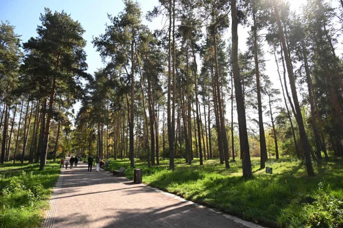 В Алмалинском районе обновляют ещё одну зелёную зону отдыха