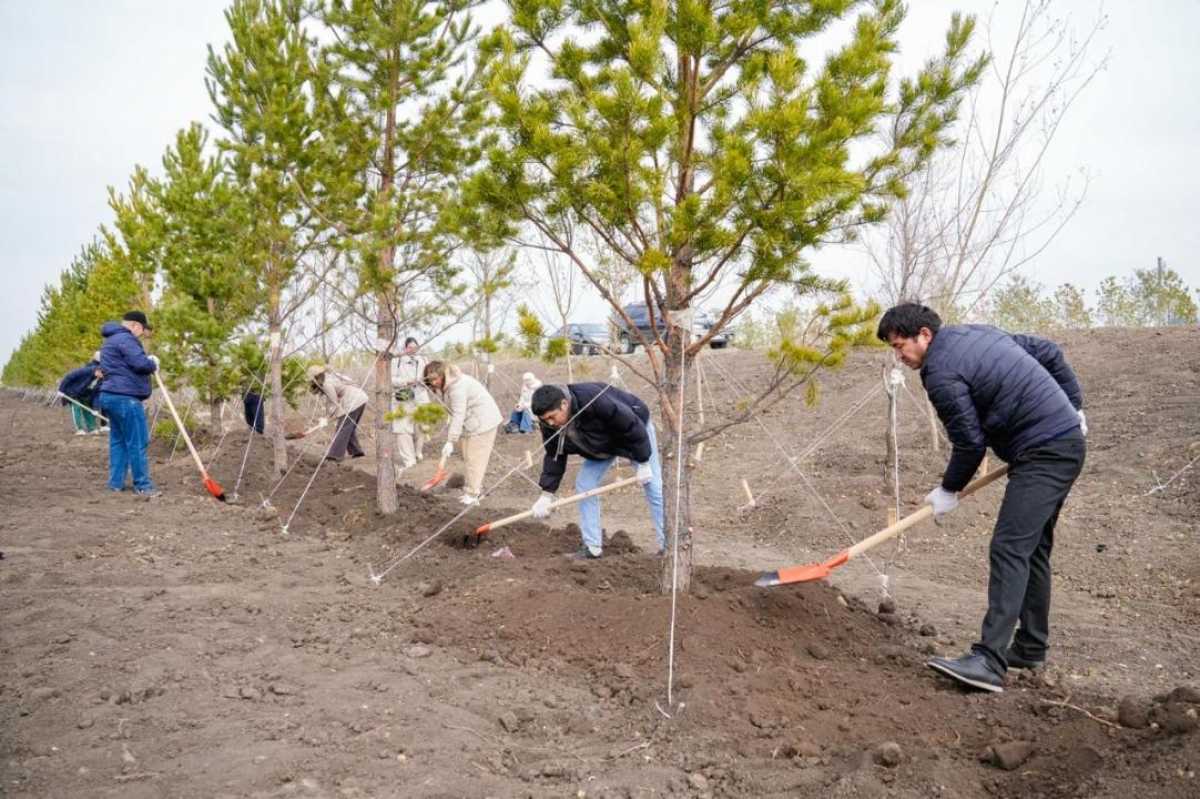 Представители интеллигенции внесли свой вклад в озеленение столицы