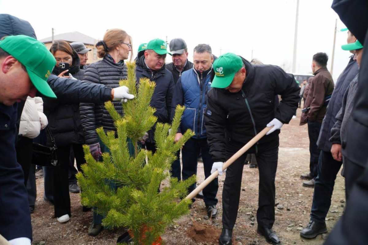 Более 30 тысяч акмолинцев вышли на субботники в рамках акции «Таза Қазақстан»