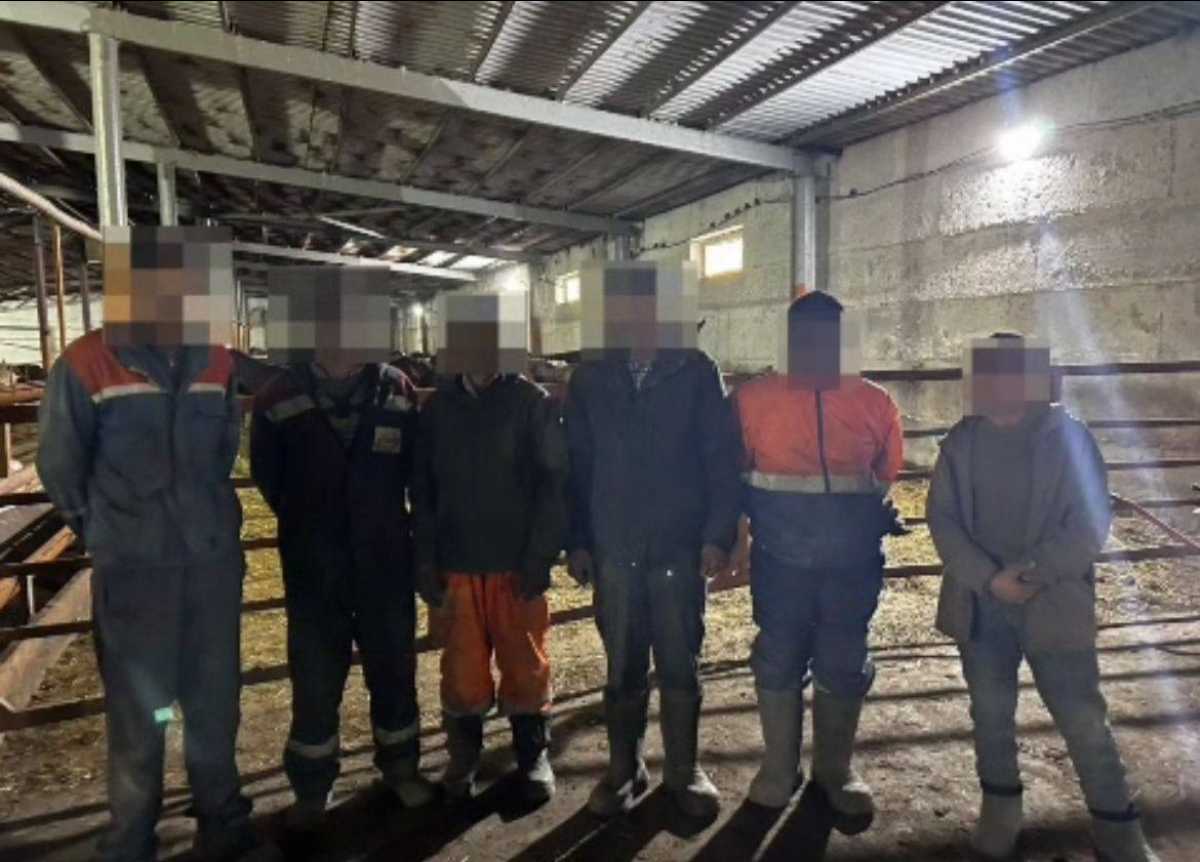 В Караганде задержали иностранцев, незаконно работавших на стройках и предприятиях