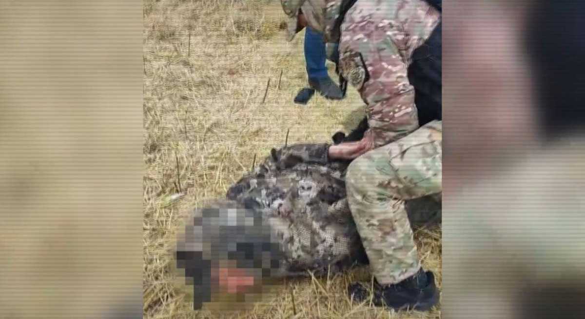 Казахстанские полицейские изъяли свыше 140 тонн похищенного зерна: задержаны 18 человек