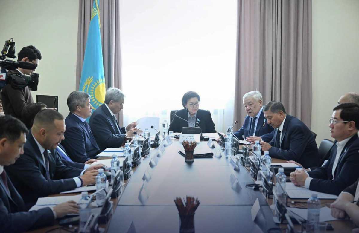 В Мажилисе обсудили вопросы социального обеспечения казахстанских военнослужащих