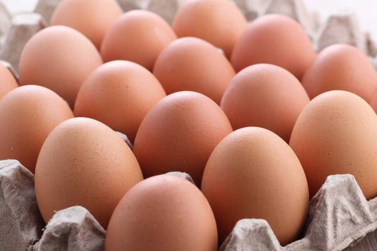 В Казахстане хотят ввести временный запрет на ввоз куриных яиц